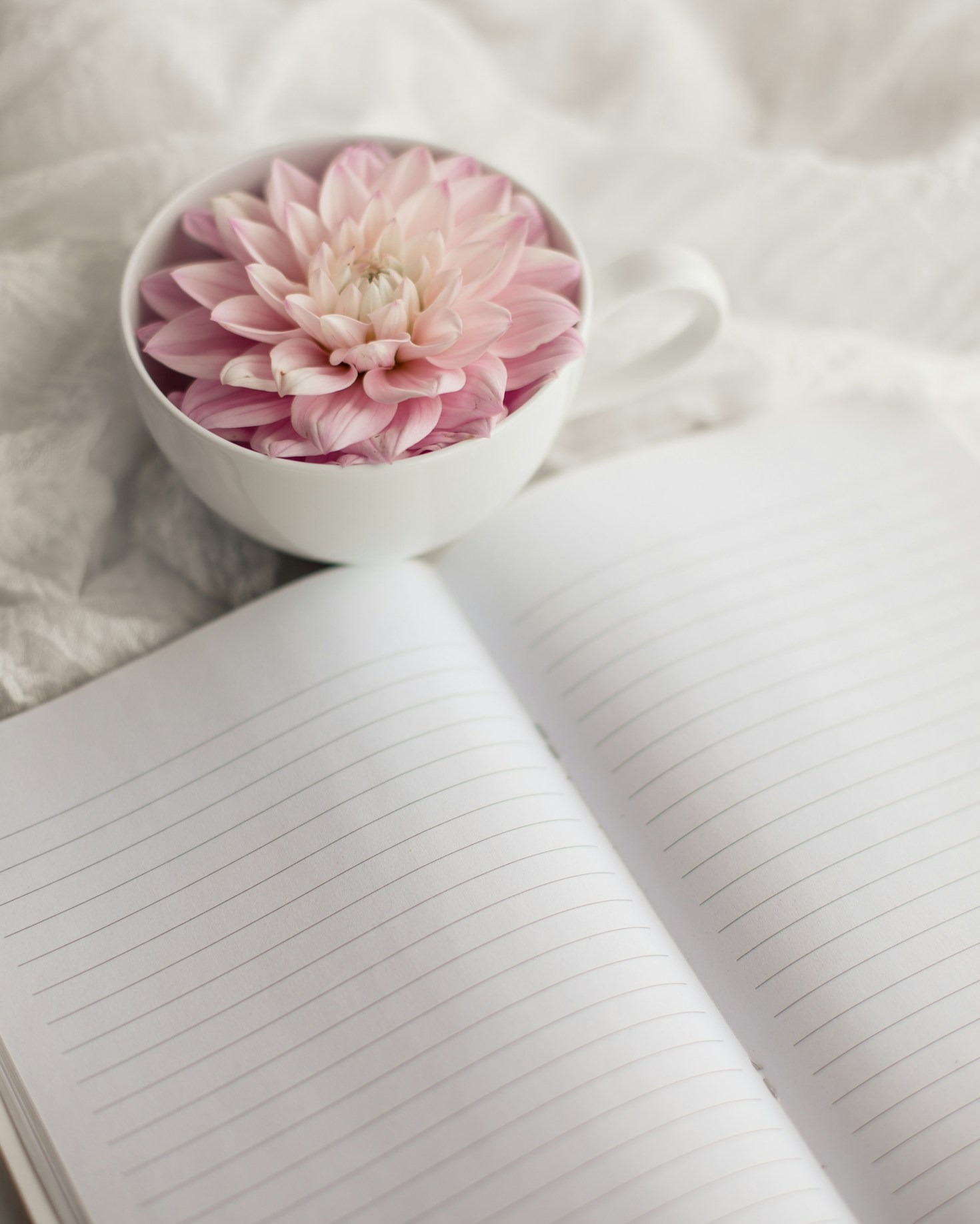 The Art of Finding Joy in Small Moments