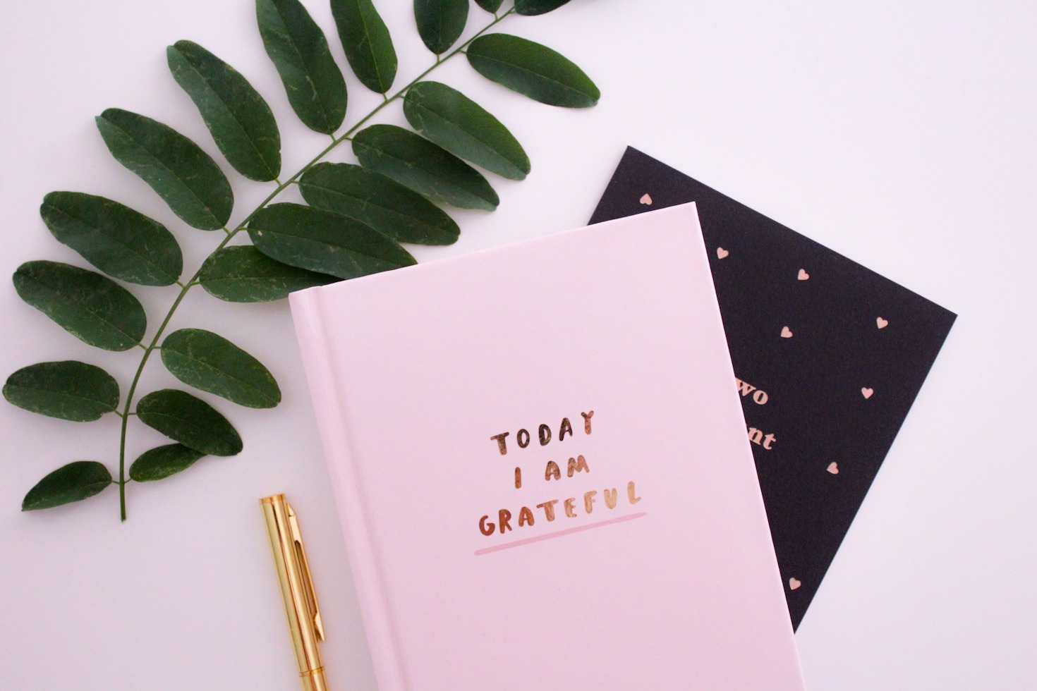 The Stories Behind Everyday Experiences